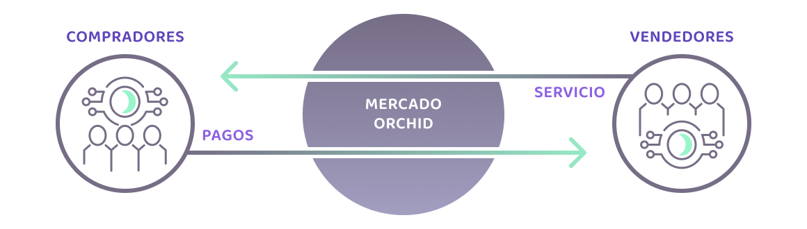 Cómo encajan los compradores, vendedores, pagos y servicios en el mercado Orchid.